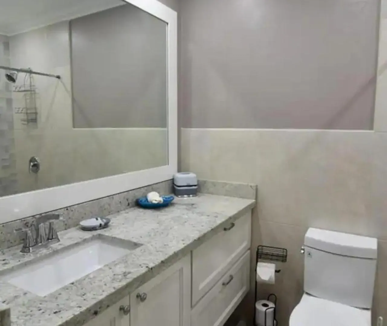 Secluded Ravinia Gem In Kingston 6 Apartment